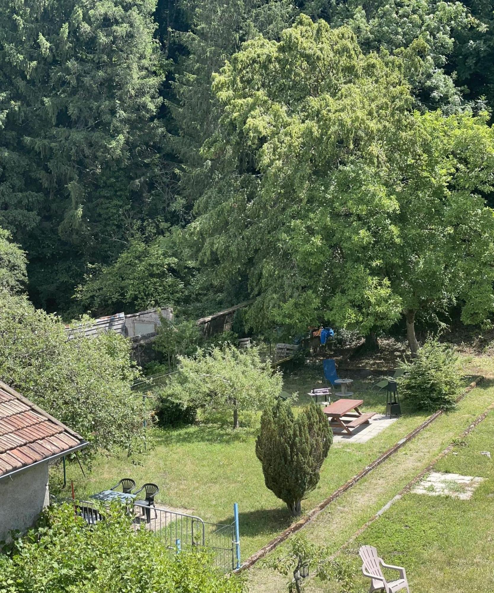 Appartement « Chez Falco » Vue Sur Le Chateau Schirmeck Exterior photo